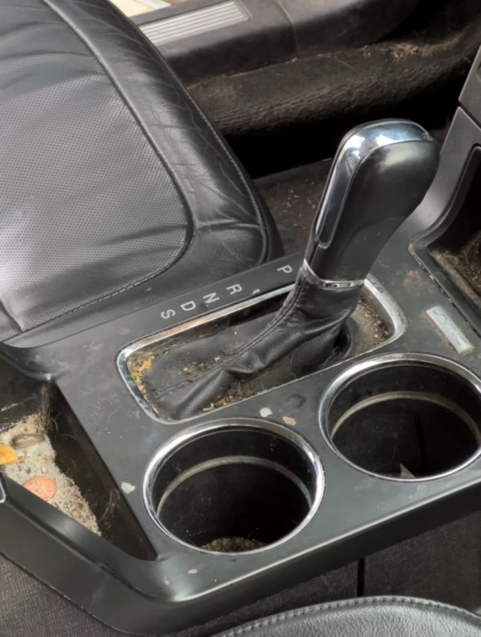 Center console after interior detailing